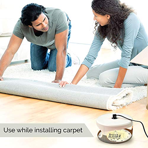 GardenHOME HR231 ASPECTEK Favored-Trapest Sticky Dome Bed Bug 2 Glue Discs.Odorless Non, White