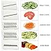 Mandoline Slicer - Potato Slicer - Vegetable Grater - Cutter for Cucumber, Cheese, Onion with 5 Stainless Steel Blades - Julienne Vegetable Slicer - Food Container - Mandolin Besutto