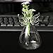 Brccee AC Angel Hanging Glass Angel Flower Vase Plant Flower Vase Hydroponic Office (S)