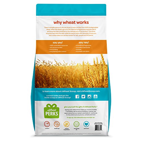sWheat Scoop Regular Litter, 36 lb