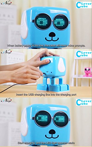 clever cube robot dog
