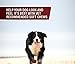 Jannik Skin And Coat Supplement For Dogs, 75 Soft Chews, Chicken Flavor, 10.5 Oz