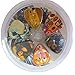 Creanoso Famous Guitar Picks (12-Pack)- Premium Music Gifts & Guitar Accessories for Musicians Gift – Medium Gauge Celluloid – Great Guitar Tool for Muscle Bound Musicians.