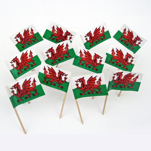 Wales | Welsh Flag Toothpicks (100)
