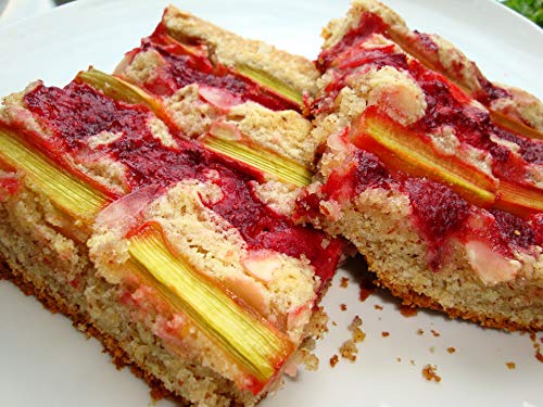 Rhubarb Seeds Pie Plant Around 50 Seeds - Thumbnail 7
