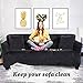 FinerFiber Velvet High Stretch Strapless Couch slipcover + Extra 2 Insert Cushions +Throw Pillow Covers | 1- Piece Sofa SlipCover for Furniture | Soft Durable Couch Covers for 3 Cushion Couch