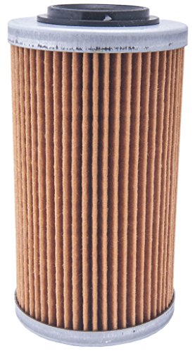 Sea-Doo Oil Filter 4 Tec 420956741