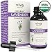 Viva Naturals Organic Lavender Oil Great for Diffusers, DIYs, Soap Scents, Body Oils, Ultra Sonic Diffusers, etc (1 oz) primary