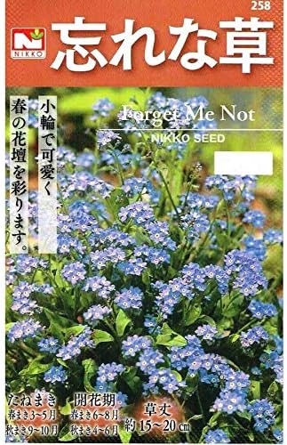 Amazon 忘れな草 花