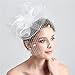 L'ivresse White Birdcage Net Wedding Bridal Fascinator Face Veils Feather Flower with Hairpins (WHITE)