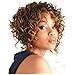 QianBaiHui Short Kinky Curly Wigs for Black Women - American African Women's Wig Heat Resistant Synthetic Hair Fashion Full Wigs (blonde) LDS033