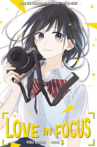 Love in Focus 3 (LOVE IN FOCUS GN)
