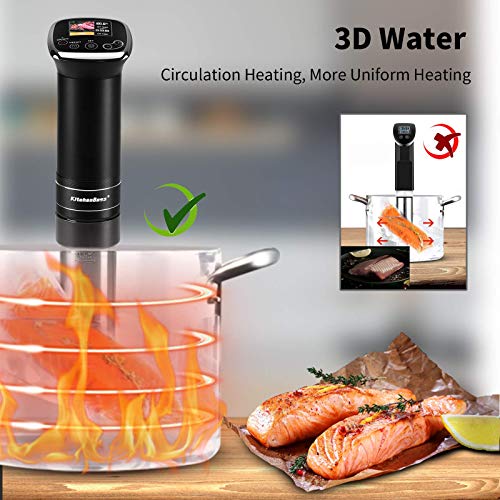 SousVide Machine ImmersionCirculator Precise Cooker 1100 Watts IPX7