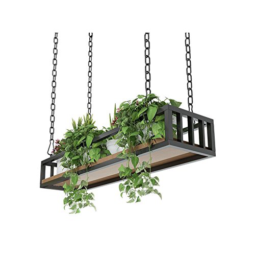 Regal Hängend Decke