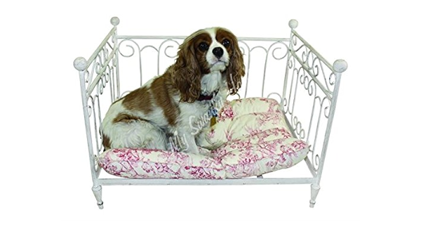 dog day beds