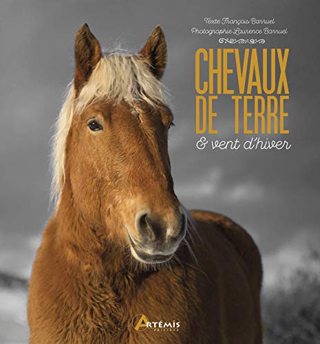 Chevaux de terre et vent d'hiver (French Edition) by François Barruel