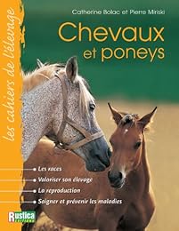 Chevaux et poneys