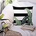 KJONG Set of 2 Banana Leaf Tropical Stripe Bag Martinique Zippered Pillow Cover,Square Decorative Throw Pillow Case Fashion Style Cushion Covers 18 x 18 Inch,2 Sides Print