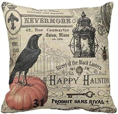 Home Pillow case halloween and Xmas Festival pillow case (18 X 18 inch, Halloween 1)