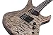 Schecter Avenger 40th Anniversary Solid-Body Electric Guitar, SLP