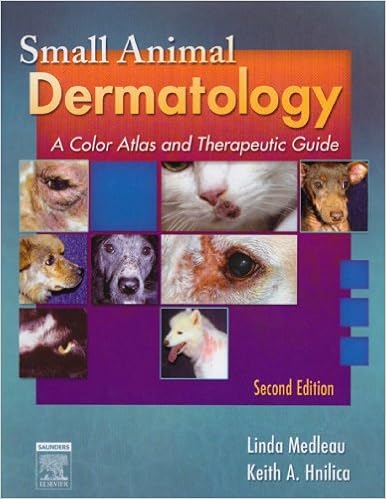 Small Animal Dermatology