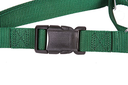 GoGo Pet Products GoGo 3/4-Inch Martingale Dog Collar, Medium, Hunter Green