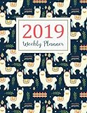 2019 Weekly Planner: Daily Weekly And Monthly Calendar Planner | January 2019 to December 2019 For To do list Planners And Academic Agenda Schedule ... Organizer, Agenda and Calendar) (Volume 7) by Roseann N. Gowan