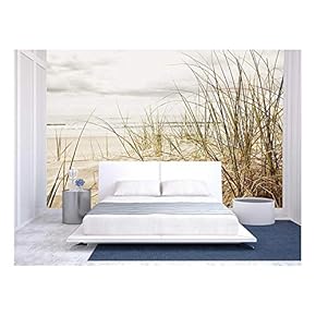 BRAND_NAMEClose Up of a Tall Grass on a...