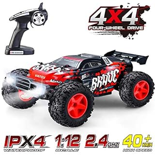 rodzon remote rc car