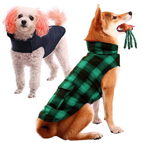 Carrot Costumes For Dog Best Carrot Costumes For Dog 2020