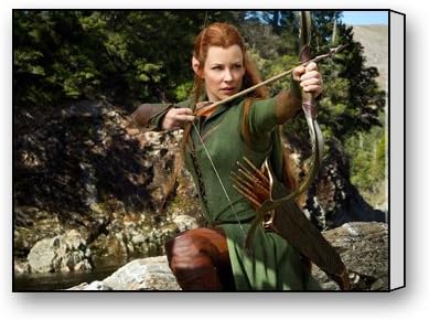 PrettyLee Custom Modern Wall Art Home Decor Canvas Prints Evangeline Lilly As Tauriel In Hobbit 16 X 12 Inch