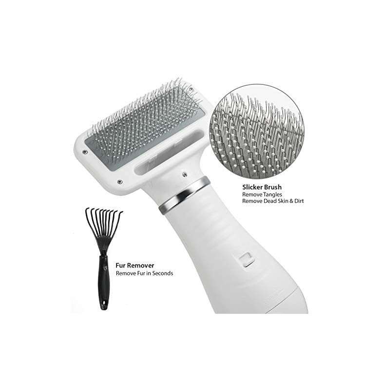 iPettie Pet Hair Dryer, Quiet, 2 Heat Settings & Portable Dog Dryer