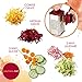 Rachael Ray Tools and Gadgets Stainless Steel Box Grater for Vegetables, Chocolate, Hard Cheeses, and more, Red(9.43 x 8.84 x 8.06 inches)