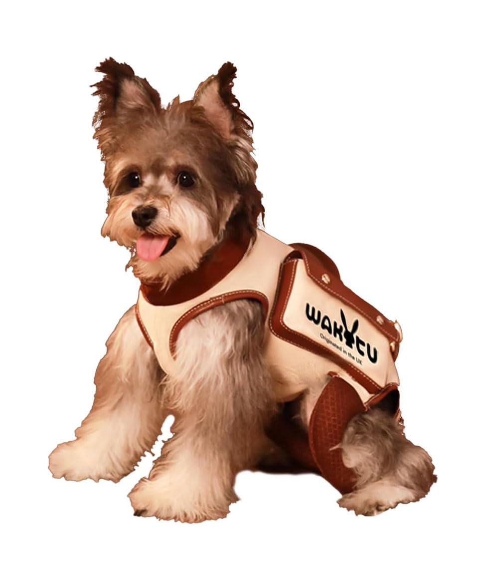 Wakytu Dog Lift Harness - Adjustable Dog Leash with Treat Bag