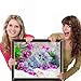 eZAKKA DIY 5D Diamond Painting Kits for Adults, Little Baby Cat Diamond Art Accessories Full Drill by Number for Home Wall Decor, 12x8 Inches