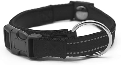 magnetic dog collar