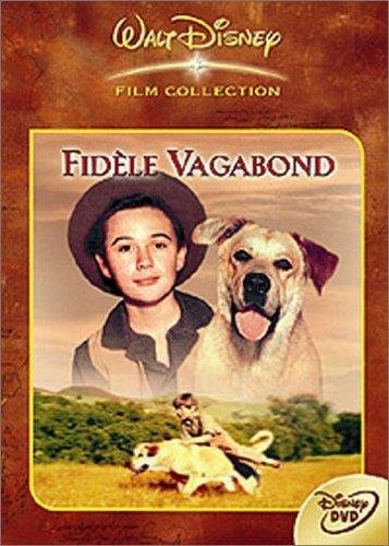 Fidèle Vagabond