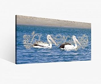Amazonde Leinwand 1tlg Liebe Spruch Vogel Pelikan Tier