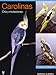Carolinas/ A Guide to Cockatiels and Their Mutations: Cria Y Mutaciones (Spanish Edition) by 