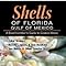 Shells Of Florida Gulf Of Mexico A Beachcomber S Guide To