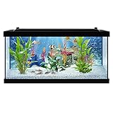 Tetra PLAYMOBIL Explore Your Aquarium 10 Gallon Kit