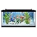 Tetra PLAYMOBIL Explore Your Aquarium 10 Gallon Kit