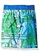 The Lion Guard Boys Swim Trunks Swimwear (4T, Blue/Green)