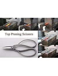 raíz Poda Tijeras las hojas Rama Shear Tijeras Tian Bonsai Herramientas 190 mm (7.5") 500T Forge.