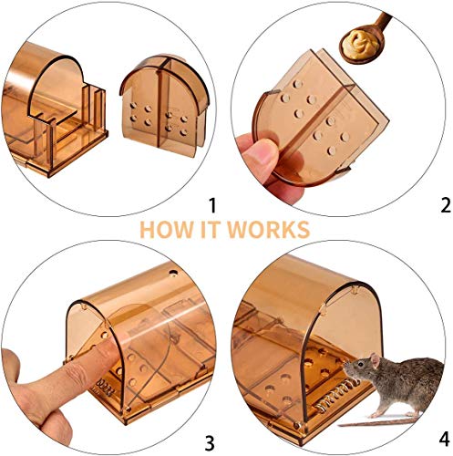 jingtai Humane Mouse Trap, No Kill Small Mice Traps That Work for for Small Rodent/Voles/Hamsters/Moles Catcher, Indoors Outdoors Pack of 4 with Cleaning Brush