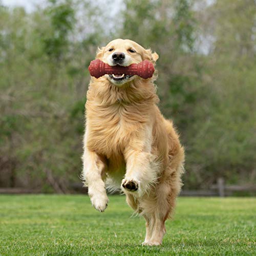 Pet Qwerks Bongo BarkBone Prime Rib Chew Toy Tough Indestructible