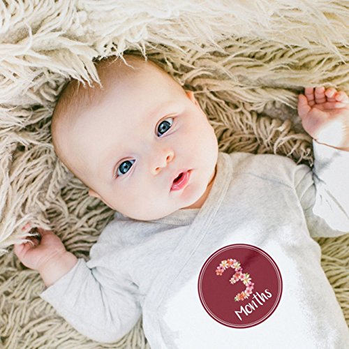 Monthly Milestone Stickers by Baby Nest - Delicate & Luxurious Flower Bouquet for Newborns & Up, Celebrate 0-12 Months First Year Achievements | Perfect Shower Gift (16 Pack)