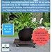 Big Blue Gardens Plant Stand - Outdoor Caddy - Indoor Dolly - 12