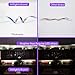 HitLights LED Strip Lights Cool White 5000K, 16.4ft High Density 12V Tape Light, UL-Listed, 600 LEDs, 300Lm/ft, Flexible Dimmable Rope Lights for Bedroom, Kitchen, Cabinet (Power Source Not Included)
