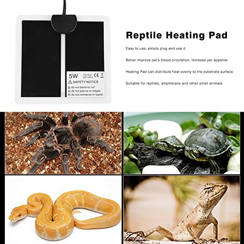 5W 220-240V Reptile Heating Pad 1415cm Mat EU Plug Temperature Regulating